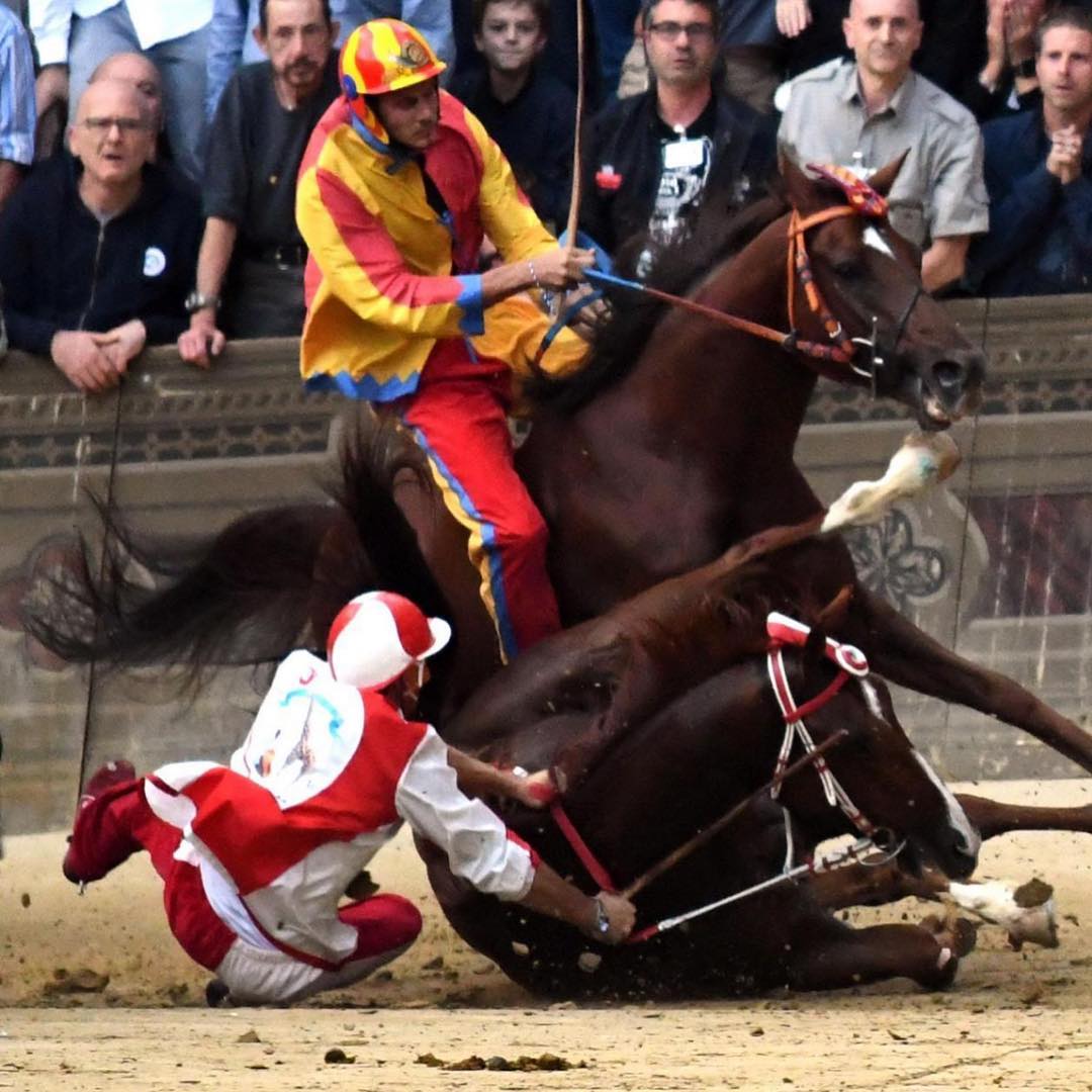 Italian Horse Protection ONLUS